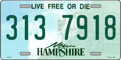 NH license plate 3137918