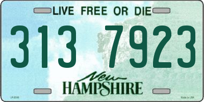 NH license plate 3137923