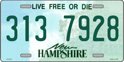 NH license plate 3137928