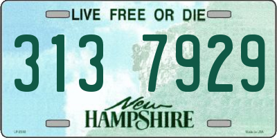NH license plate 3137929