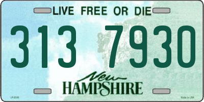 NH license plate 3137930