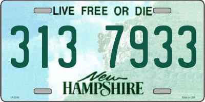 NH license plate 3137933
