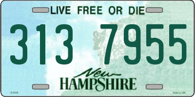 NH license plate 3137955
