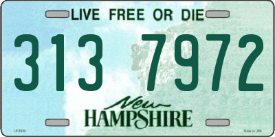 NH license plate 3137972