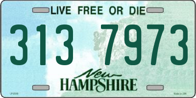 NH license plate 3137973