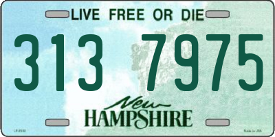 NH license plate 3137975