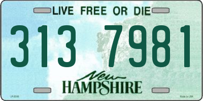 NH license plate 3137981