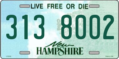 NH license plate 3138002