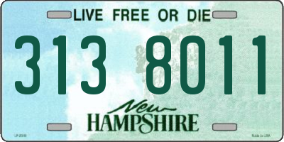 NH license plate 3138011