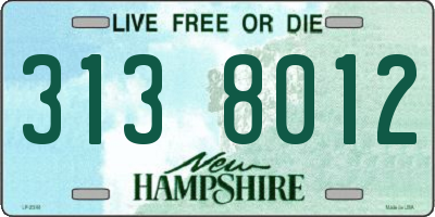 NH license plate 3138012