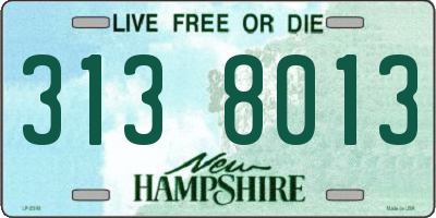 NH license plate 3138013