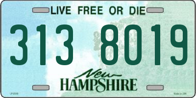 NH license plate 3138019