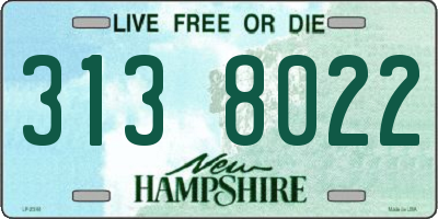 NH license plate 3138022