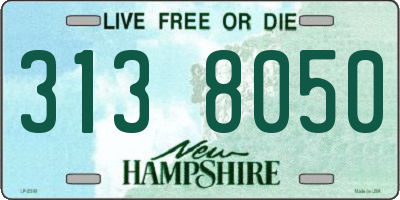 NH license plate 3138050