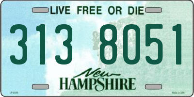 NH license plate 3138051