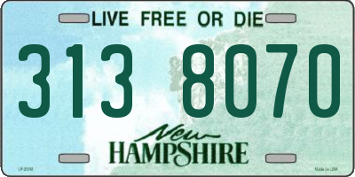 NH license plate 3138070