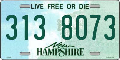 NH license plate 3138073
