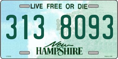 NH license plate 3138093