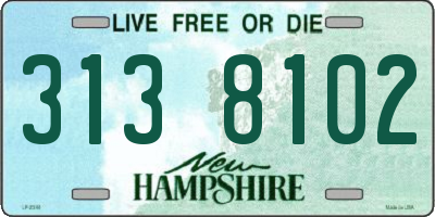NH license plate 3138102