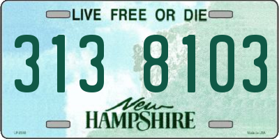 NH license plate 3138103