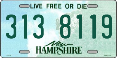 NH license plate 3138119
