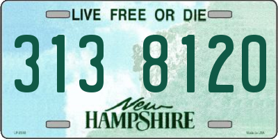 NH license plate 3138120
