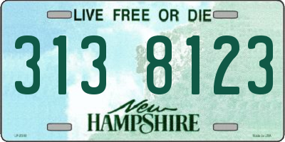 NH license plate 3138123