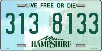 NH license plate 3138133