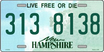 NH license plate 3138138