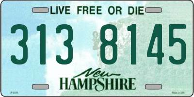 NH license plate 3138145