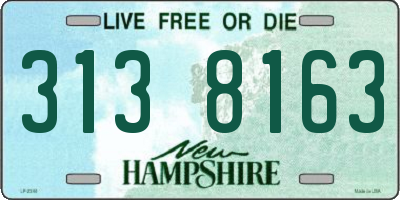 NH license plate 3138163