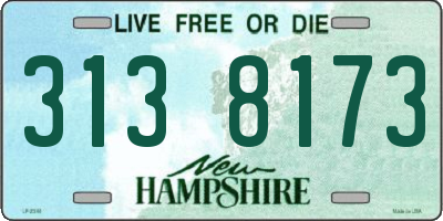 NH license plate 3138173