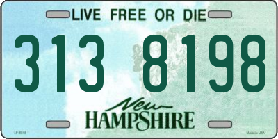 NH license plate 3138198