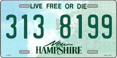 NH license plate 3138199