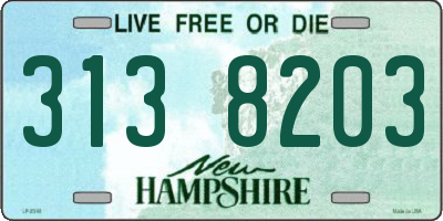 NH license plate 3138203