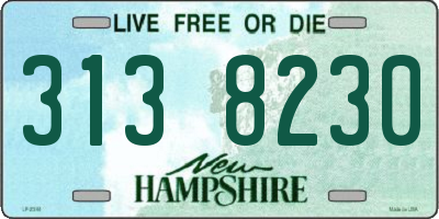 NH license plate 3138230