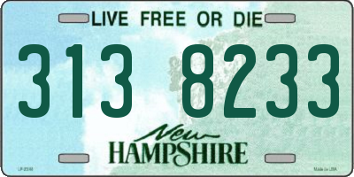 NH license plate 3138233