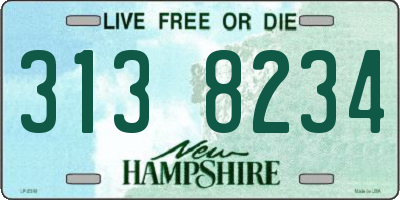 NH license plate 3138234