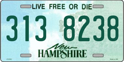 NH license plate 3138238
