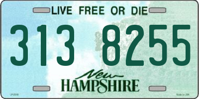 NH license plate 3138255