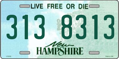 NH license plate 3138313