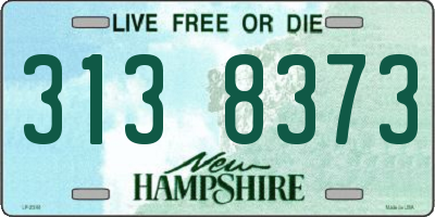 NH license plate 3138373