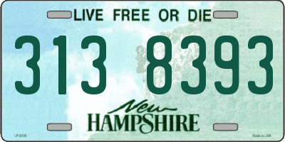 NH license plate 3138393