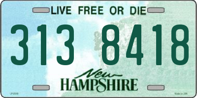 NH license plate 3138418