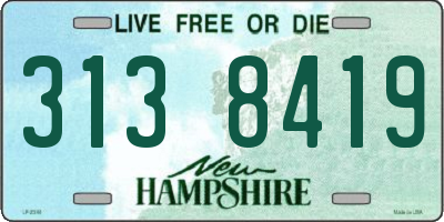 NH license plate 3138419