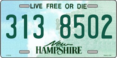 NH license plate 3138502
