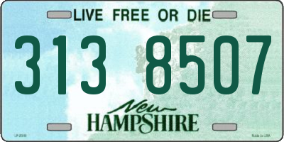 NH license plate 3138507