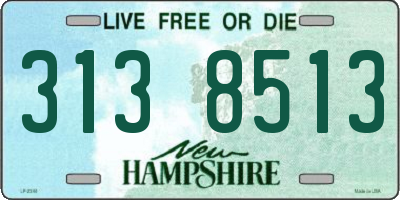 NH license plate 3138513