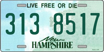 NH license plate 3138517