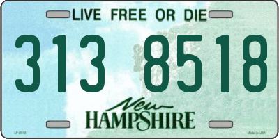 NH license plate 3138518